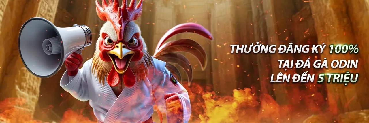 Hình ảnh đại diện hỗ trợ khách hàng win55