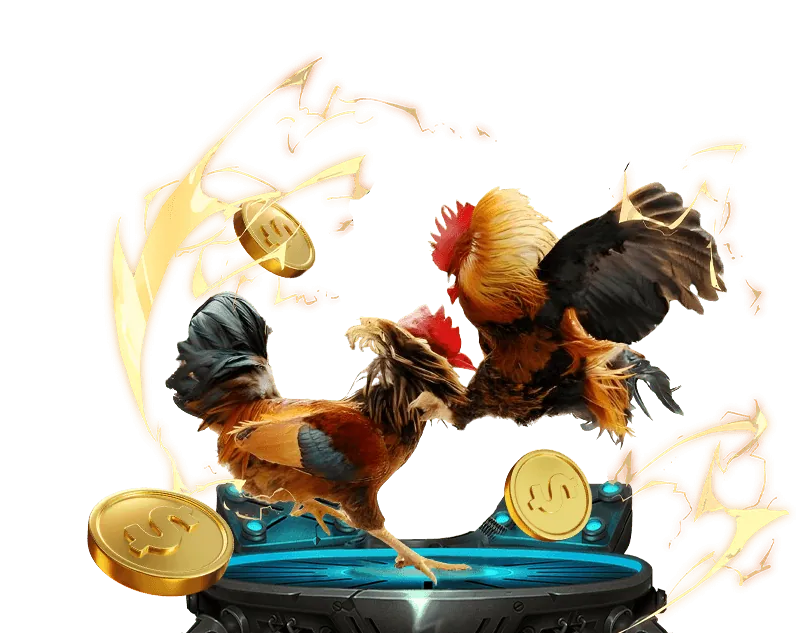 Quy trình Rút Tiền Win55 nhanh chóng